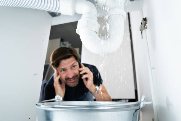 Best Local Plumber Services  in Arlington, MN